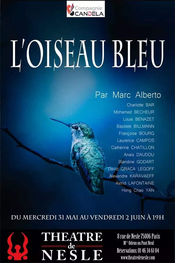 L’oiseau-bleu