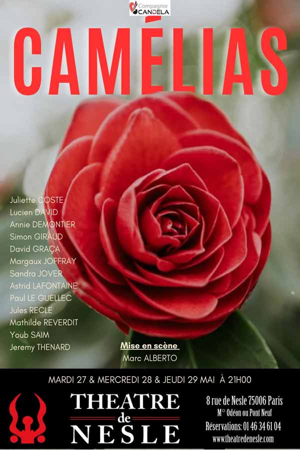 Camélias